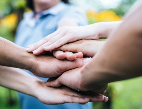 Stroke Survivor & Care Partner Support